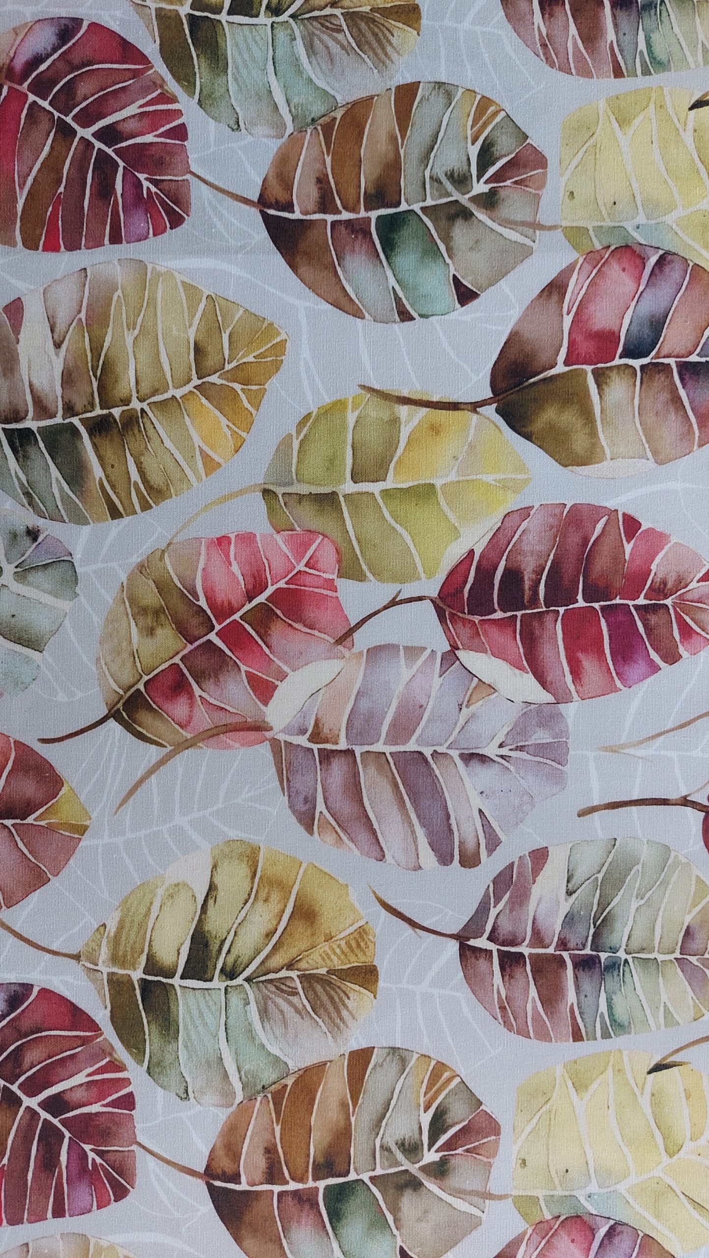 Leaves